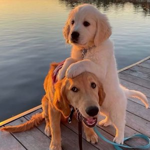 亚洲熟妇色XXXXX欧美老妇Y
