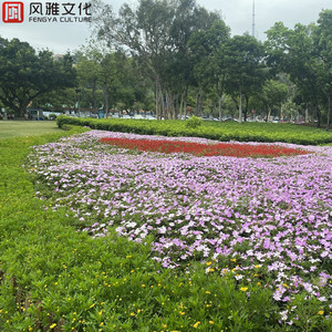 亚洲熟妇色XXXXX欧美老妇Y
